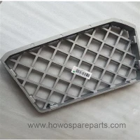 Placa anti-alunecare a camionului Howo Max YG1671230013